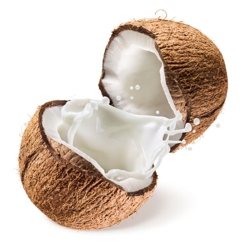 Coconut milk vegan friendly lotion base