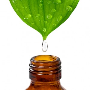 Essential hydrosols (Rose, Peppermint, Neroli) - Lux Natures Soaps & Skincare
