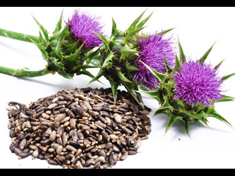 Milk Thistle seed oil virgin organic  Lux Natures Soaps & Skincare