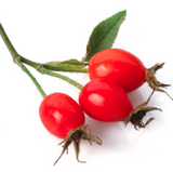 Rosehip seed butter blend - Lux Natures Soaps & Skincare