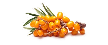 Sea Buckthorn face cream base - Seaberry face cream base - Lux Natures Soaps & Skincare