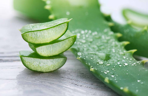 Aloe gel hair mask base vegan friendly