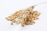 Oat extract oil - Lux Natures Soaps & Skincare